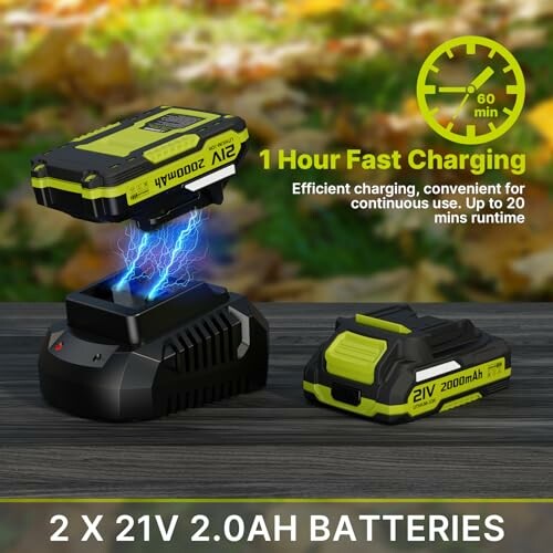 21V battery charger with two 2.0Ah batteries and fast charging feature.