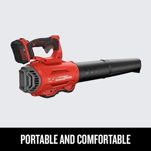 Craftsman cordless leaf blower with battery pack and charger.