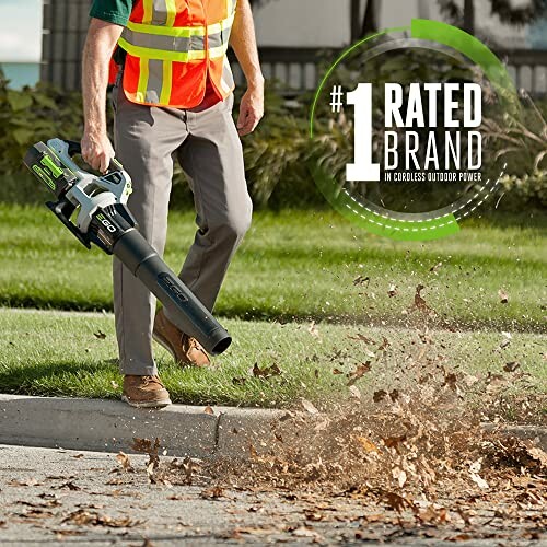 Person using a leaf blower on leaves near a curb.