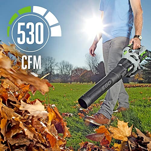 Person using a leaf blower on a grassy lawn with fallen leaves.